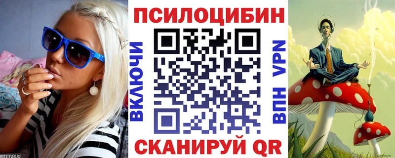 Псилоцибиновые грибы прущие грибы  Пласт 